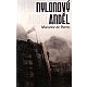 Pierres, M.: NYLONOVÝ ANDĚL