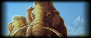 MAMMOTH 1-3