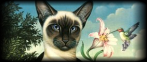 CATFANTASTIC 1-5