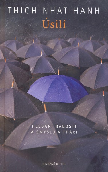 Hanh, Thich Nhat: ÚSILÍ