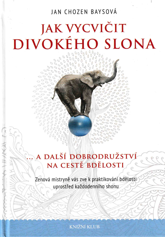 Baysová, Jan Chozen: JAK VYCVIČIT DIVOKÉHO SLONA A DALŠÍ DOBRODRUŽSTVÍ NA CESTĚ BDĚLOSTI