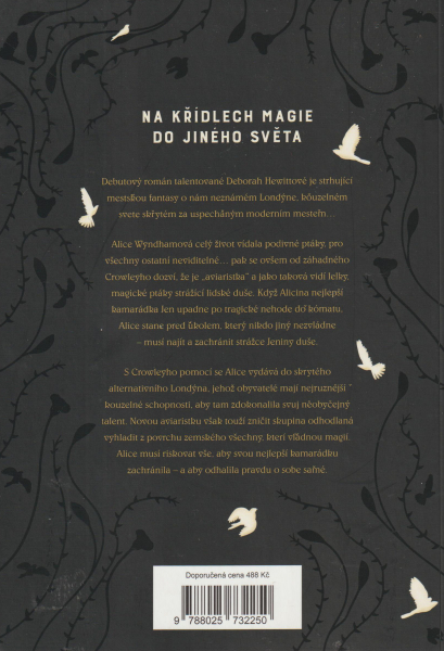 Hewittová, Deborah: STRÁŽCE DUŠÍ