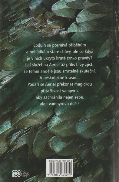 Pierceová, Meredith A.: TEMNÝ ANDĚL
