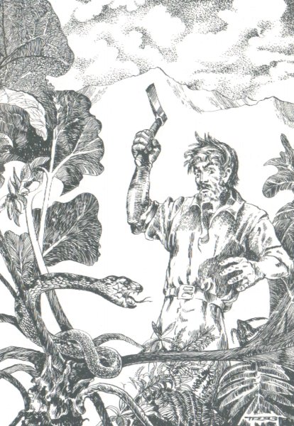 Troska, Jan M.: ZÁHADNÝ OSTROV