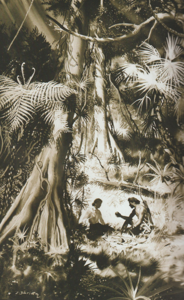 Burroughs, E.R.: TARZAN Z RODU OPŮ