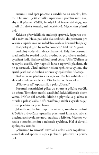 Flanagan, John: PRONÁSLEDOVÁNÍ