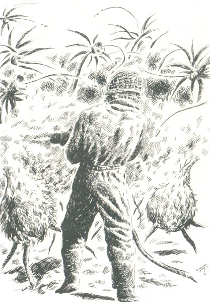 Wyndham, John: DEN TRIFIDŮ