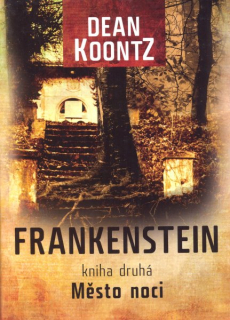 Koontz, Dean: MĚSTO NOCI